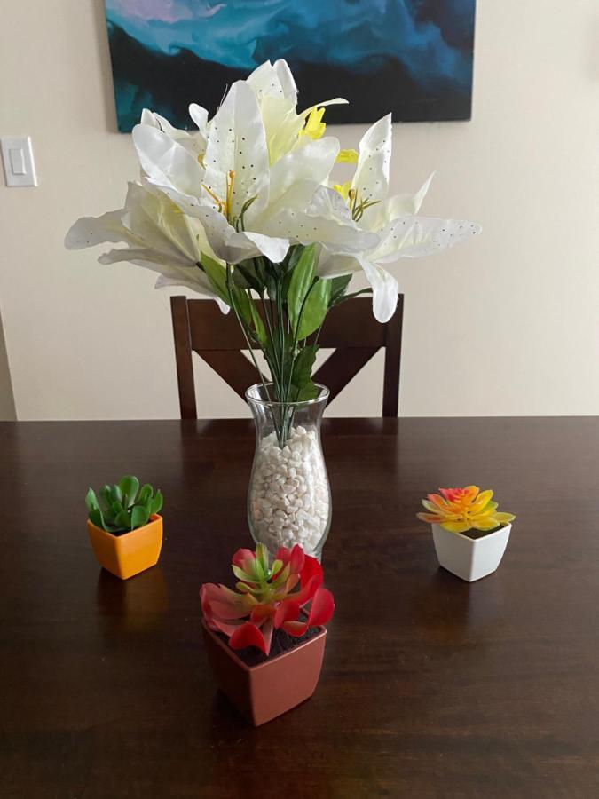 פילדלפיה Private Room In South Philly Near Arenas! מראה חיצוני תמונה