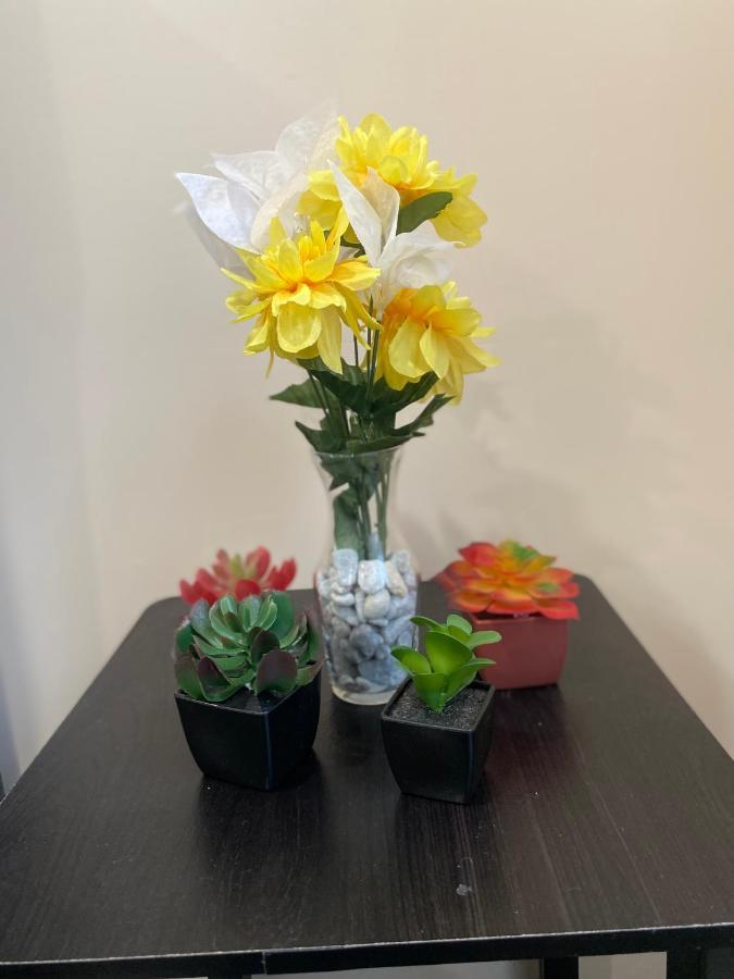 פילדלפיה Private Room In South Philly Near Arenas! מראה חיצוני תמונה