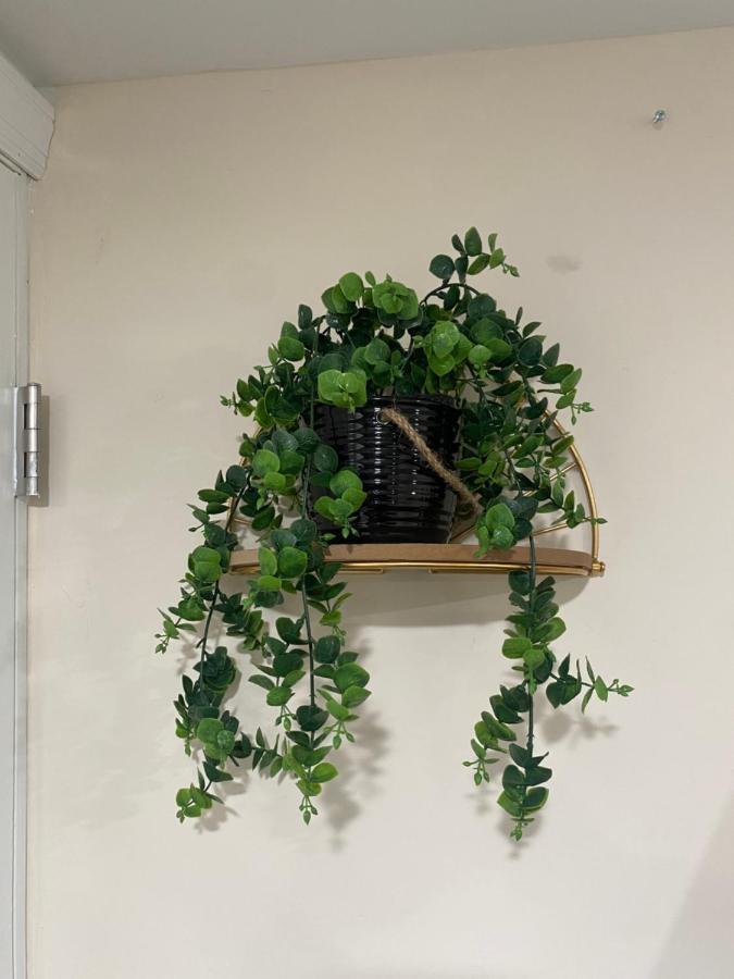 פילדלפיה Private Room In South Philly Near Arenas! מראה חיצוני תמונה